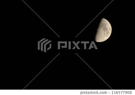 Lunar age 8.0, first quarter moon Lunar age 8.0, first quarter moon 116577908