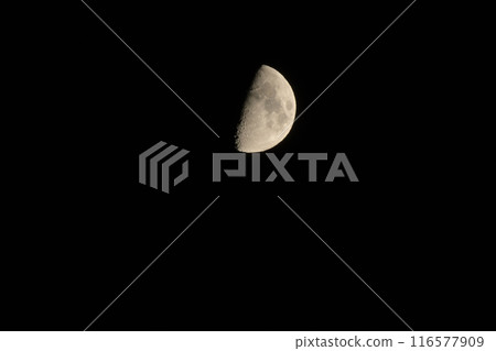 Lunar age 8.0, first quarter moon Lunar age 8.0, first quarter moon 116577909