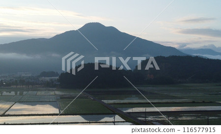 稻田中閃耀的日野山 116577915