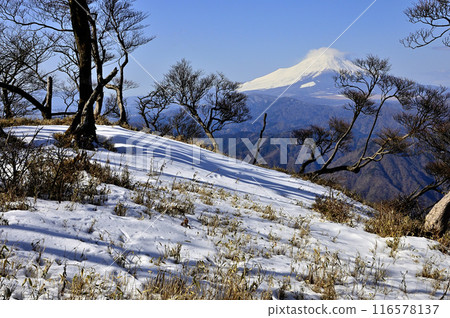 從丹澤山地的檜木洞丸出發：嚴冬的富士山和山脊積雪 116578137