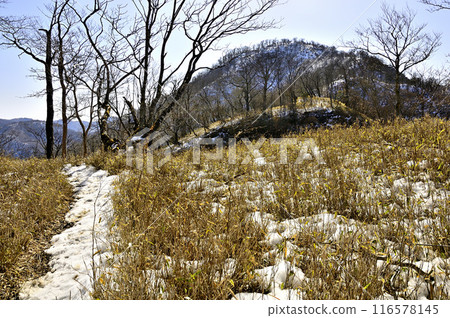 Snow-covered Tanzawa ridge: View of Hinokihoramaru from Kumasanamine Snow-covered Tanzawa ridge: View of Hinokihoramaru from Kumasanamine 116578145