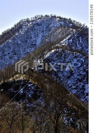 Snow-covered Tanzawa ridge: View of Hinokihoramaru from Kumasanamine Snow-covered Tanzawa ridge: View of Hinokihoramaru from Kumasanamine 116578146
