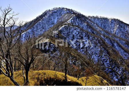 Snow-covered Tanzawa ridge: View of Hinokihoramaru from Kumasanamine Snow-covered Tanzawa ridge: View of Hinokihoramaru from Kumasanamine 116578147