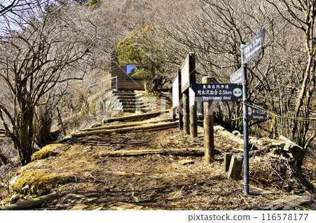 Inukoshoji trail along the Tanzawa ridge Inukoshoji trail along the Tanzawa ridge 116578177