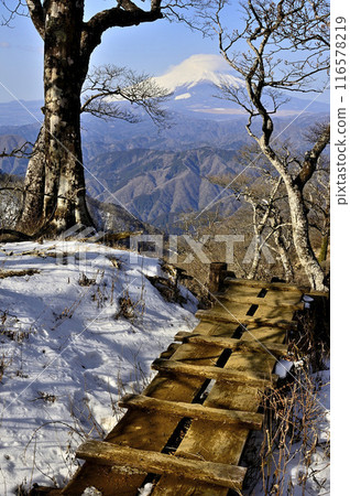Mount Fuji towering over the boardwalk on the Ishidana ridge of Tanzawa 116578219
