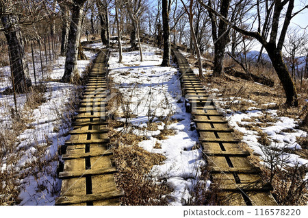 From Tanzawa's Hinokihoramaru, the snow-covered Ishidana mountain ridge, the boardwalk continues 116578220