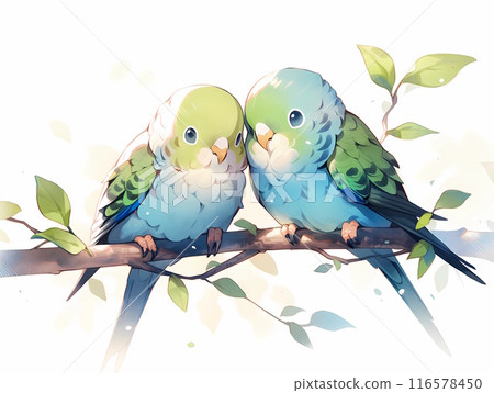 Two friendly budgerigars in watercolor style 2 116578450
