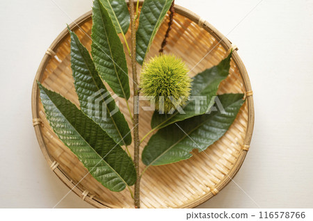 還是藍色毛刺 116578766