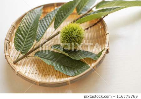 還是藍色毛刺 還是藍色毛刺 116578769