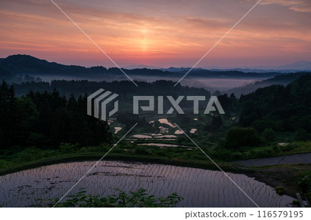 Morning glow of rice terraces 116579195