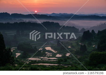 Hoshitoge Sun 116579198