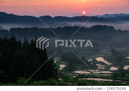 Sun over the Rice Terraces 116579199