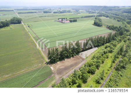Hokkaido Tokachi Plain Shikaoi Park area (aerial view) Hokkaido Tokachi Plain Shikaoi Park area (aerial view) 116579554