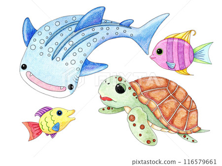 A set of gentle fish illustrations 116579661