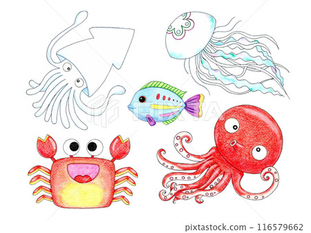 A set of gentle fish illustrations 116579662