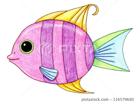 五顏六色的魚圖 116579680