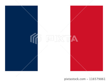 Flag France 116579861