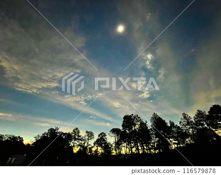 April 8, 2024: Sunburn during the total solar eclipse in Mexico 116579878