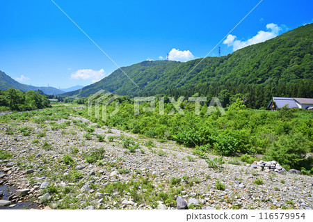 Kiyotsu River, view from Oshima Bridge, mountain and riverside scenery, Yuzawa Town, Niigata Prefecture 116579954