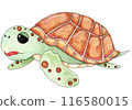 現實的烏龜插畫 116580015