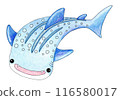 溫柔的觸摸鯨鯊插畫 116580017