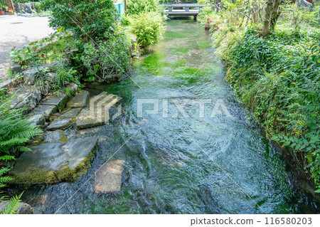 The waterfront of Jizo River in Samegai-juku on the old Nakasendo road in Maibara city, Shiga prefecture 116580203