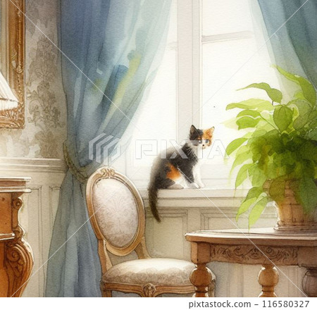 西方小貓 西方小貓 116580327