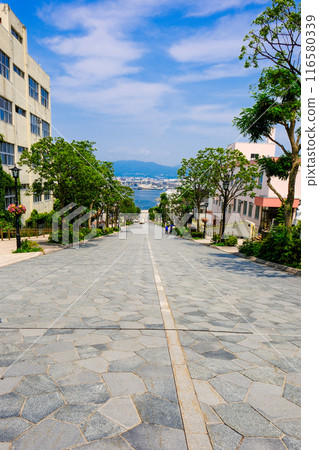 Hachimanzaka (vertical) 116580339