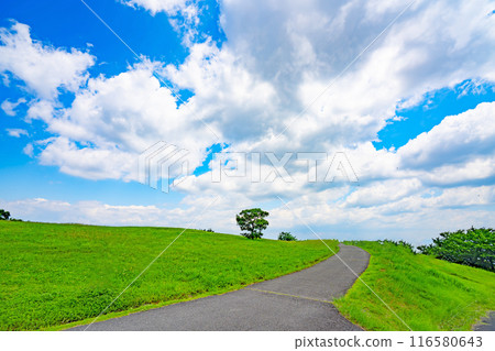 夏季藍天、草地與道路 夏季藍天、草地與道路 116580643