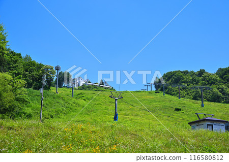 Scenery of Iwappara Ski Resort in early summer, Yuzawa Town, Niigata Prefecture 116580812