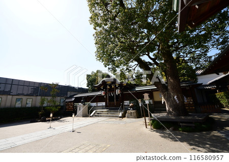 Seimei Shrine, Kyoto Prefecture, Main Hall, Onmyoji Abe no Seimei, Spiritual God, Seimei-cho, Kamigyo-ku, Kyoto City Seimei Shrine, Kyoto Prefecture, Main Hall, Onmyoji Abe no Seimei, Spiritual God, Seimei-cho, Kamigyo-ku, Kyoto City 116580957
