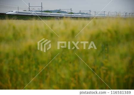 秋季在近江路上運行的東海道新幹線 N700A (東海道新幹線 Maibara - 京都, 2024年5月) 116581389