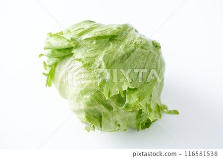 新鮮的生菜 116581538