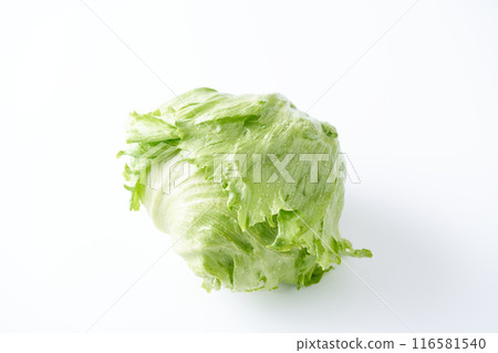 新鮮的生菜 116581540