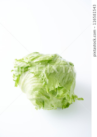 Fresh Lettuce Fresh Lettuce 116581543