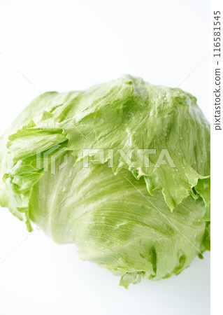新鮮的生菜 116581545