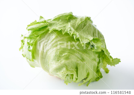 新鮮的生菜 新鮮的生菜 116581548