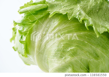 新鮮的生菜 116581550