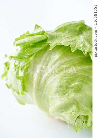 Fresh Lettuce Fresh Lettuce 116581553