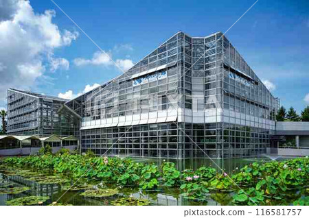 This flower pavilion blooms This flower pavilion blooms 116581757