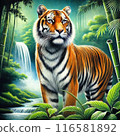 雄偉的老虎 116581892