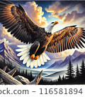 翱翔的雄鷹 116581894