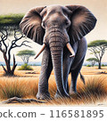 雄偉的大象 116581895