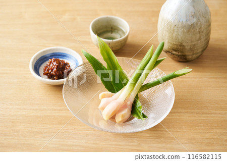 Moromi miso and leaf ginger Moromi miso and leaf ginger 116582115