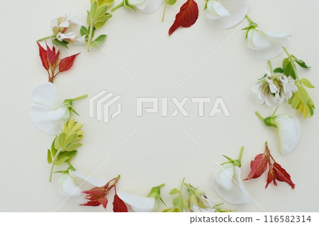 夏季甜豌豆和蓮花硫磺花環 夏季甜豌豆和蓮花硫磺花環 116582314