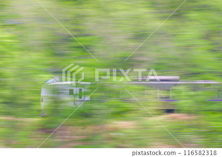 [Kiha261系列]關所線佔冠～Tomamu[鮮綠] 116582318