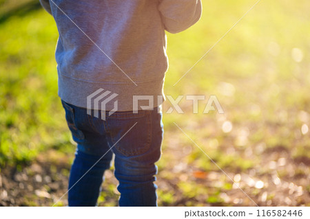 Children playing in the park 116582446