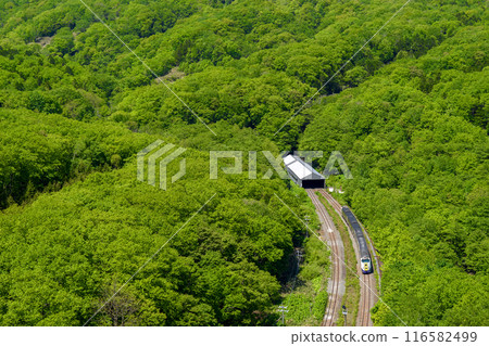 [Kiha 261 Series] Sekisho Line Shin-Karikatsu Signal Station [Dark Green] 116582499