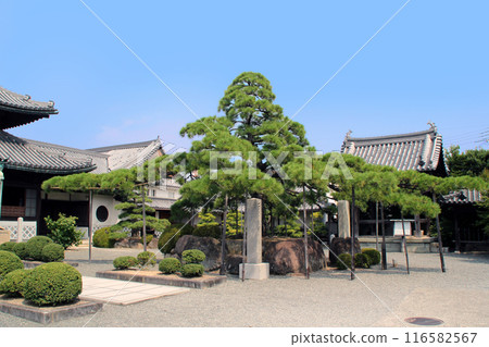 The temple of the Asano family and loyal retainers, Banshu Akodai Unzan Kagakuji Temple 116582567