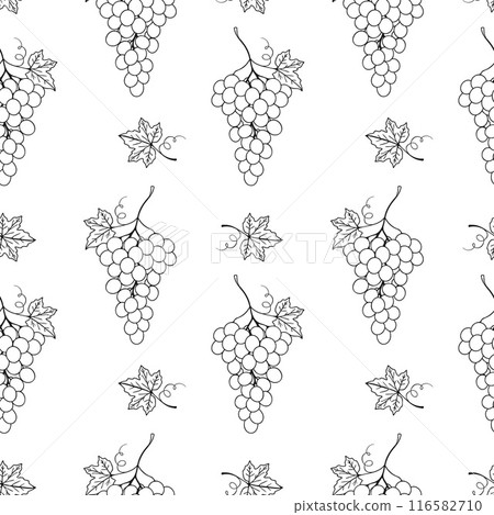 Grape seamless pattern on white background, contour doodle drawing of grape berries and leaves. Grape seamless pattern on white background, contour doodle drawing of grape berries and leaves. 116582710